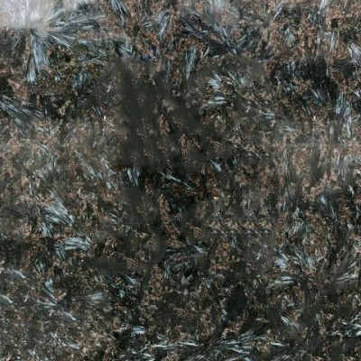 鳳羽藍毛光板批發