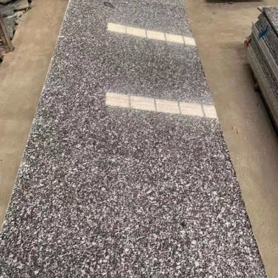 湖南芝麻灰光面60頭毛光板批發