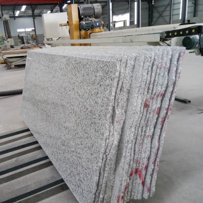 江西大白花毛板批發60頭-80頭