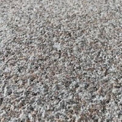 遂昌紅荔枝面浙江麗水新礦664